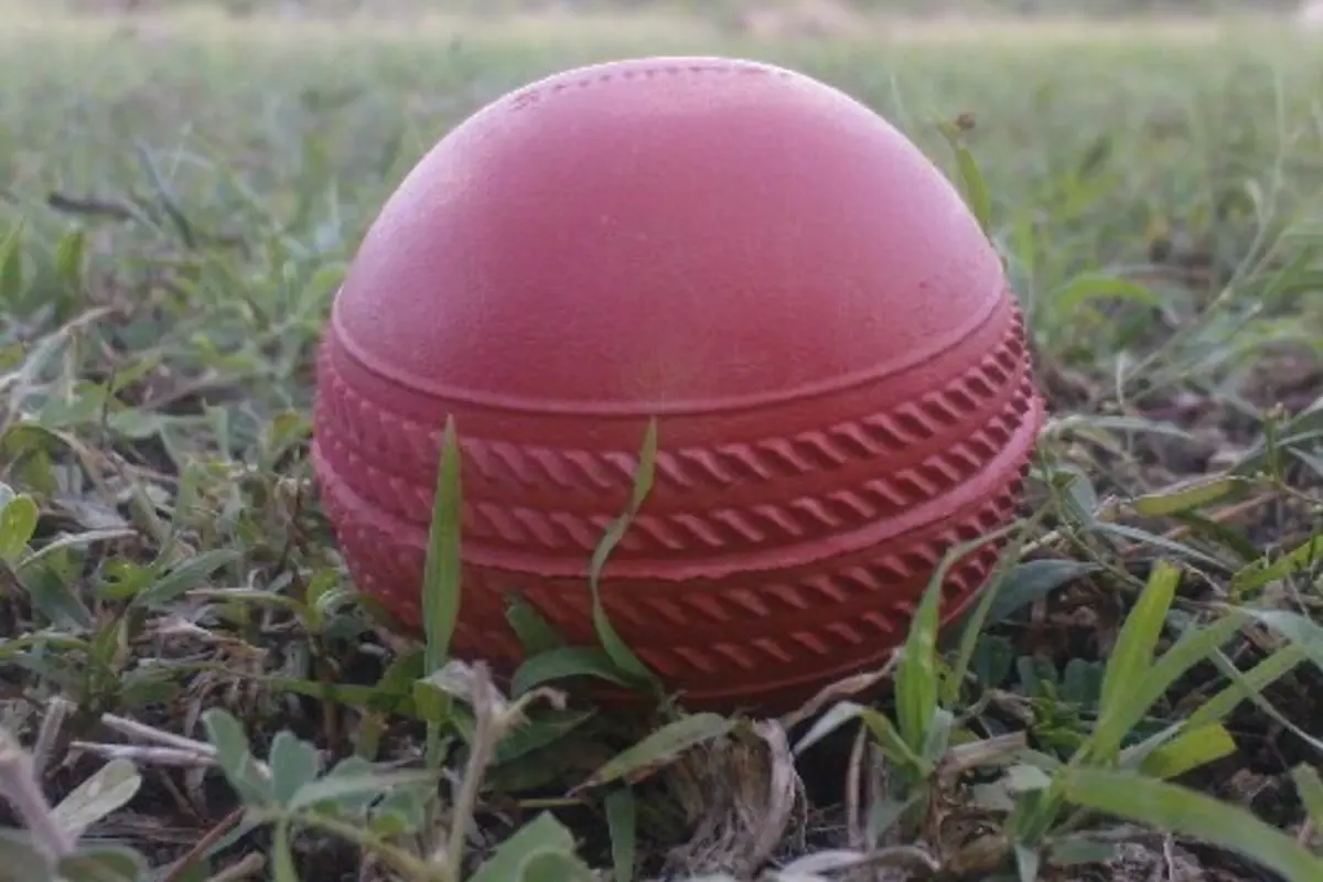 VK8 Sports Betting গাইড